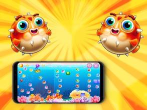 Hungry Tiger Fish Mania截图2