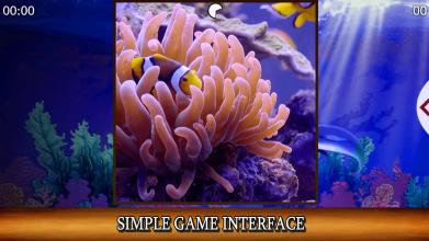 Sea life and dolphins jigsaw puzzles for everyone截图3