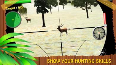 Forest Animal Hunting 2018 - 3D截图2