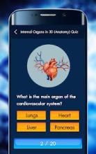 Internal Organs in 3D (Anatomy) Quiz截图1