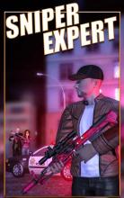 Elite 3d Sniper - Ultimate fury截图3