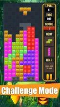 Terris Block Puzzle Classic截图3