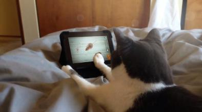 Cat Games, Mouse截图4