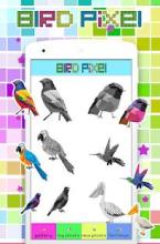 Coloring Bird Pixel Art, By Number截图3