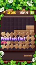 Wood Block Puzzle Master截图4