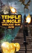 Temple Jungle: Endless Run 2019截图3