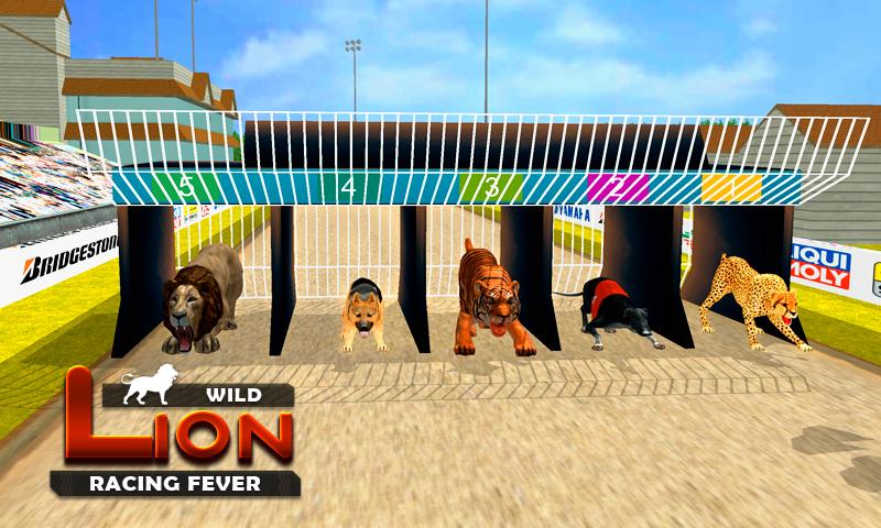 野生 狮子 赛跑 模拟器 3D 赛跑 狮子 模拟器截图4