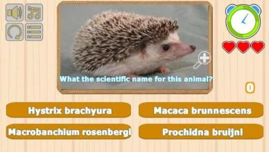 Guess Animal Scientific Names截图5