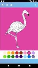 Birds Coloring Book截图2