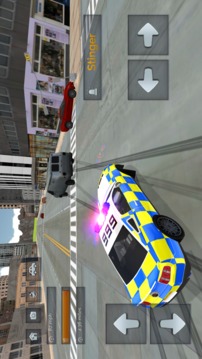 Police Car Driving vs Street Racing Cars截图