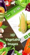 Guess the Vegetable Quiz - Name Games截图5