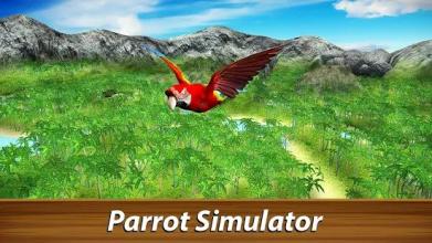 * Wild Parrot Survival - jungle bird simulator!截图4