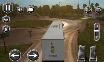 Real Truck Driver Driving Sim 3D截图3