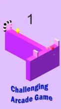 Balls & The Walls : Bouncing Ball Games For Free截图2