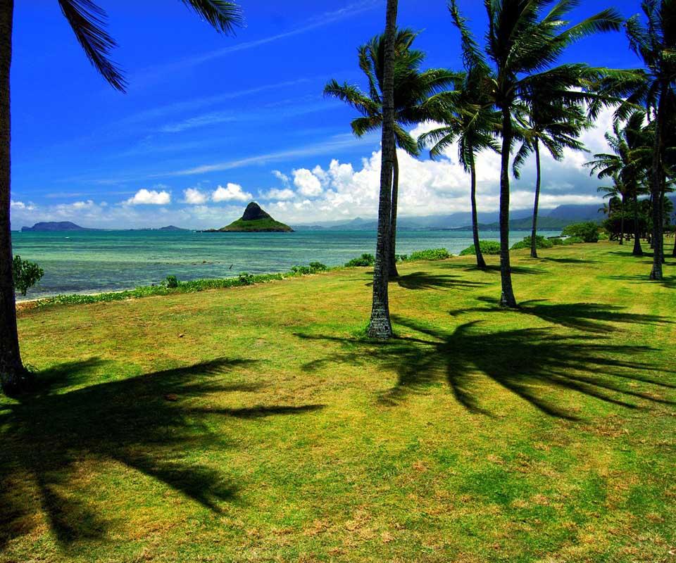 Hawaii Island Jigsaw Puzzles截图3