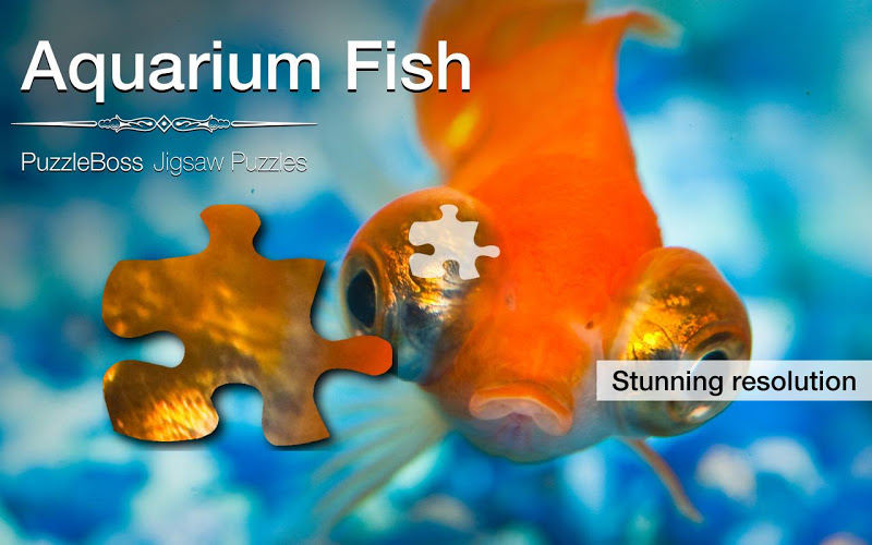 Aquarium Fish Jigsaw Puzzles截图1