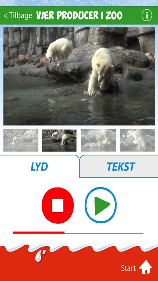 Kinder Zoo截图5