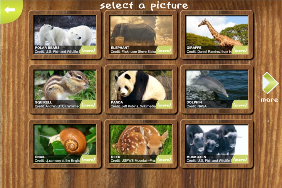 Jigsaw Animal Pic Free Edition截图3