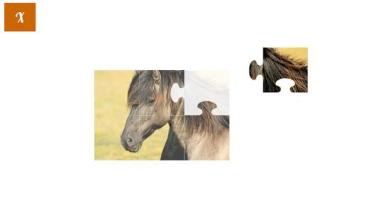 Jigsaw Puzzles with Horses截图4