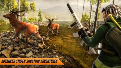 Deer Hunt 2018: Safari Hunting Attack Game截图1