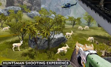 动物 直升机 狩猎 游戏截图2