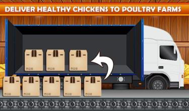 Chicken and Duck Breeding Farm-A Poultry Eggs Game截图1