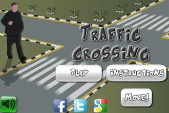 Traffic Crossing截图1