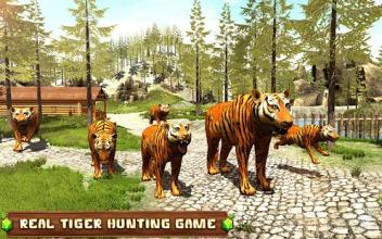 Tiger Simulator 2018 - Animal Hunting Games截图1