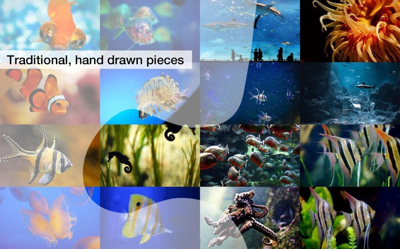 Aquarium Fish Jigsaw Puzzles截图3