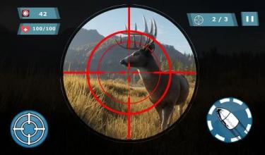 Sniper Hunting Deer截图4