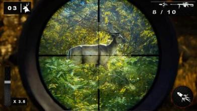 THE WILD HUNTER : DEER HUNTING 2018截图1