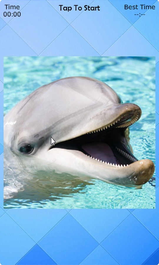 Dolphin Puzzle截图3