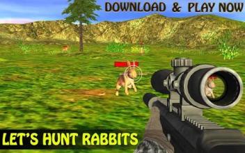 Rabbit Hunting: Sniper Safari Shooting Season 2018截图1