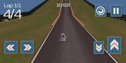 Kart VS Formula Mini Car Race截图3