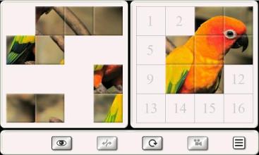 Guess the Bird. Tile Puzzle.截图4