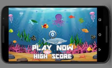 Cute Fish Game截图4