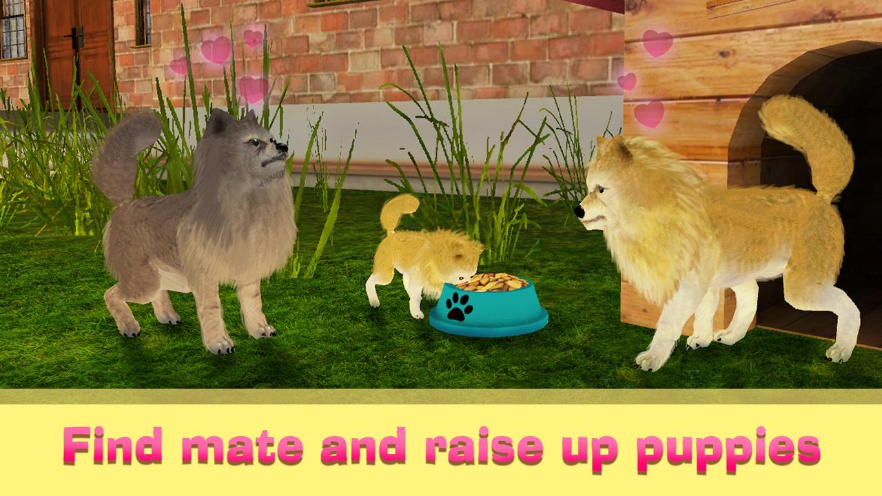 Pomeranian Dog Simulator 3D截图3