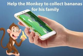 Banana : Monkey Jungle截图4