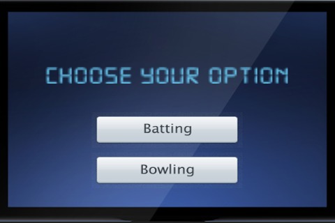 Hand Cricket 3D截图5