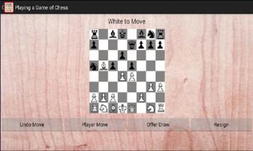 Famous Chess Game截图2