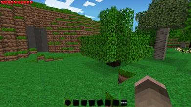 Block World Craft 3D : Survival & Adventure Craft截图5