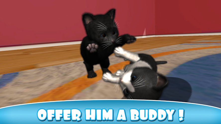Daily Kitten : 虚拟宠物猫小猫动物截图5