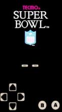 Tecmo Super Bowls Classic截图1