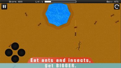 Ant Evolution: Planet of the tasty bugs截图5