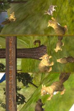 森林松鼠模拟器截图