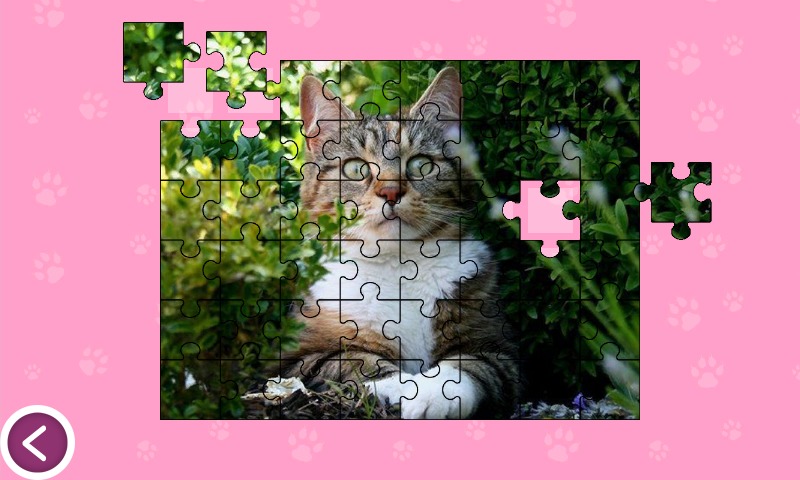 Cats - Jigsaw Puzzles截图4