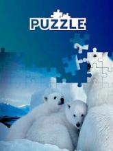 Animals world tile puzzle截图3