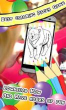 Coloring Book Bear Pages截图1