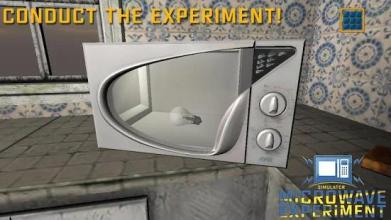 Microwave Experiment Simulator截图1