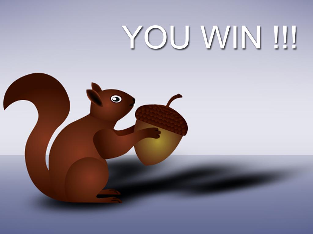 Squirrel pro截图4